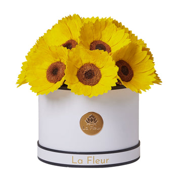 Sunflower Dome