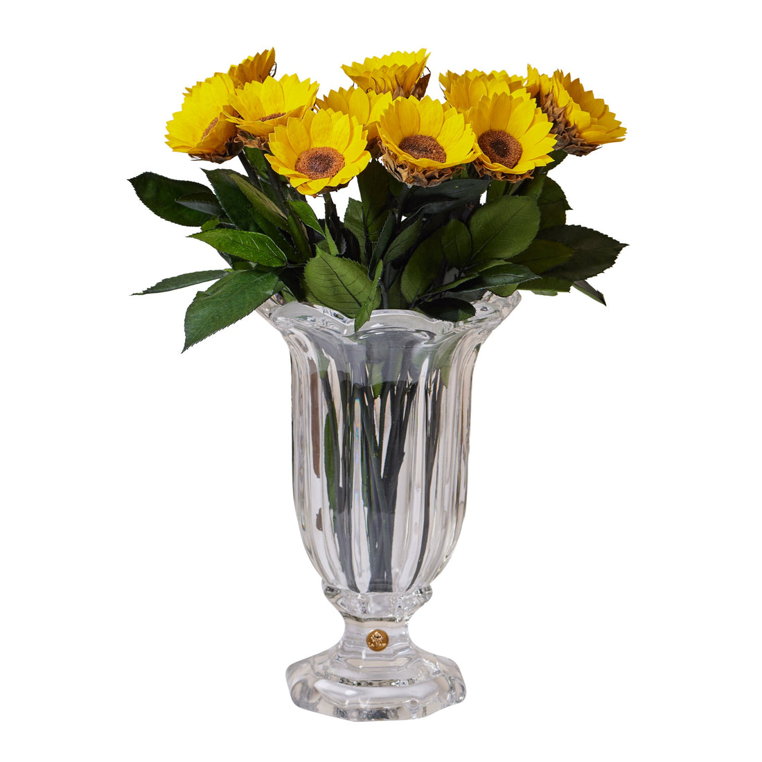 Amour Dozen - Sunflower