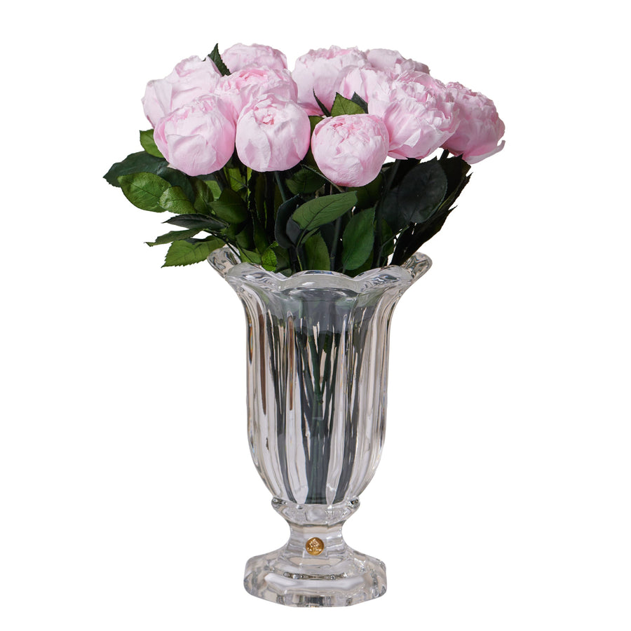 Amour Dozen - Peony