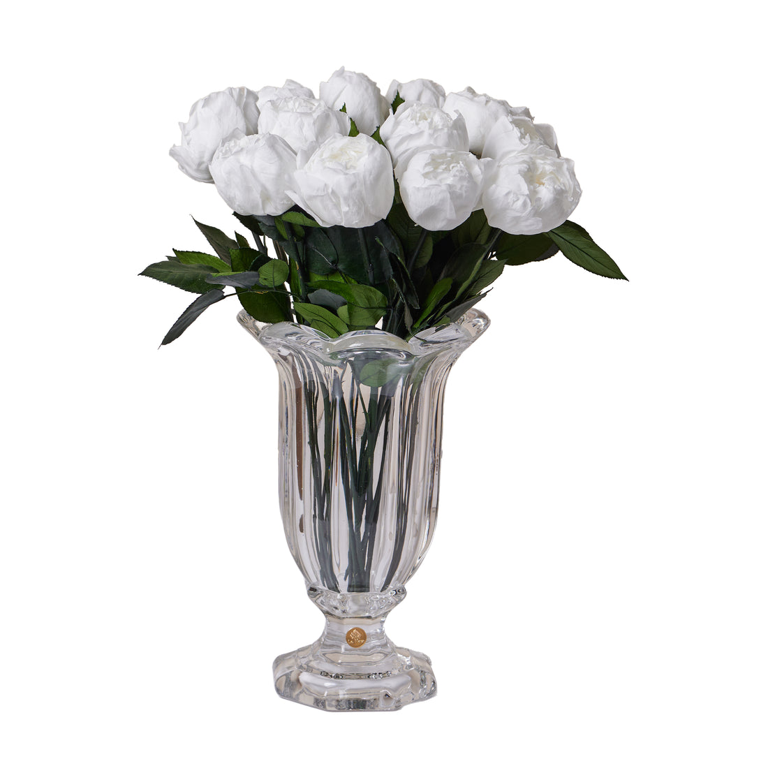 Amour Dozen - Peony