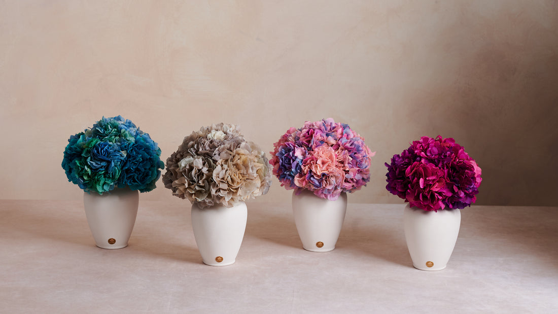 Petite Hydrangea