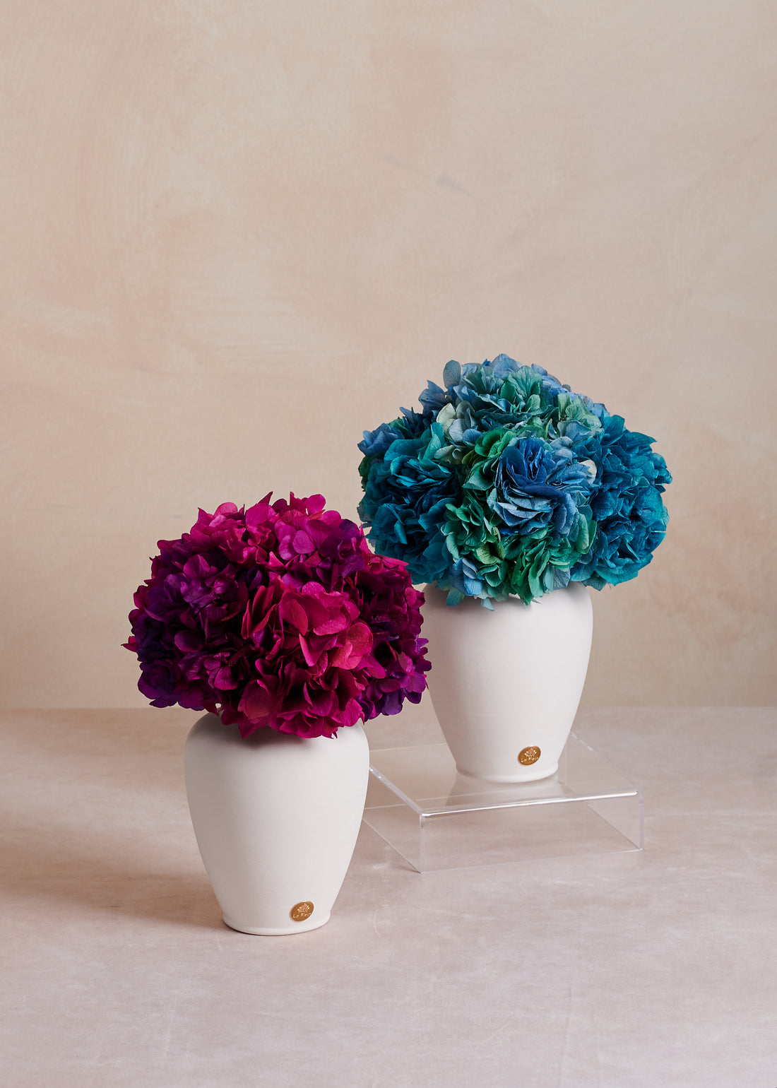 Petite Hydrangea