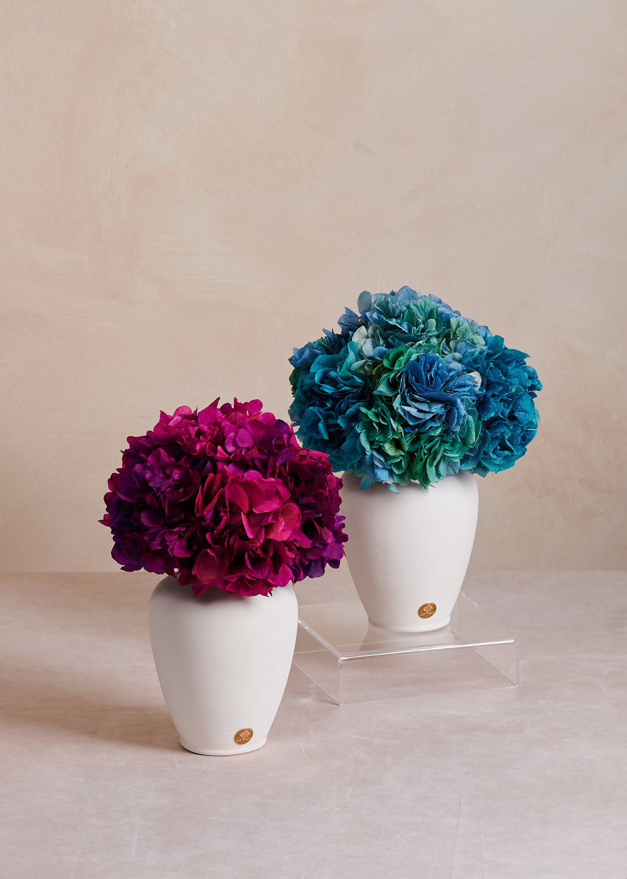 Petite Hydrangea