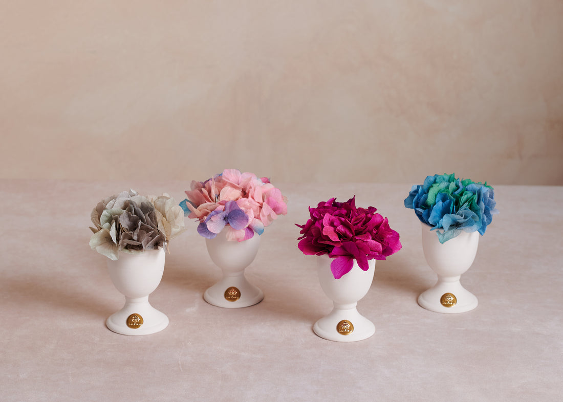 Creme Hydrangea Mini