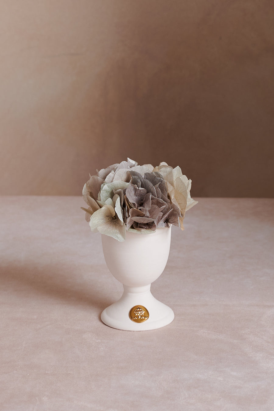 Creme Hydrangea Mini