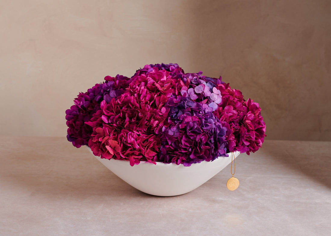 Grandiose Hydrangea