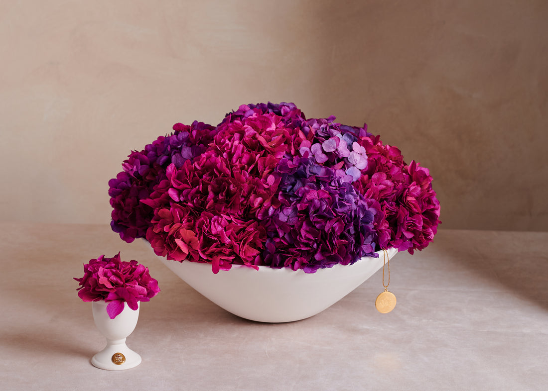 Creme Hydrangea Mini