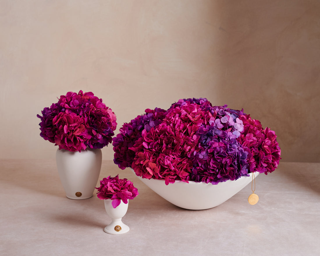 Petite Hydrangea