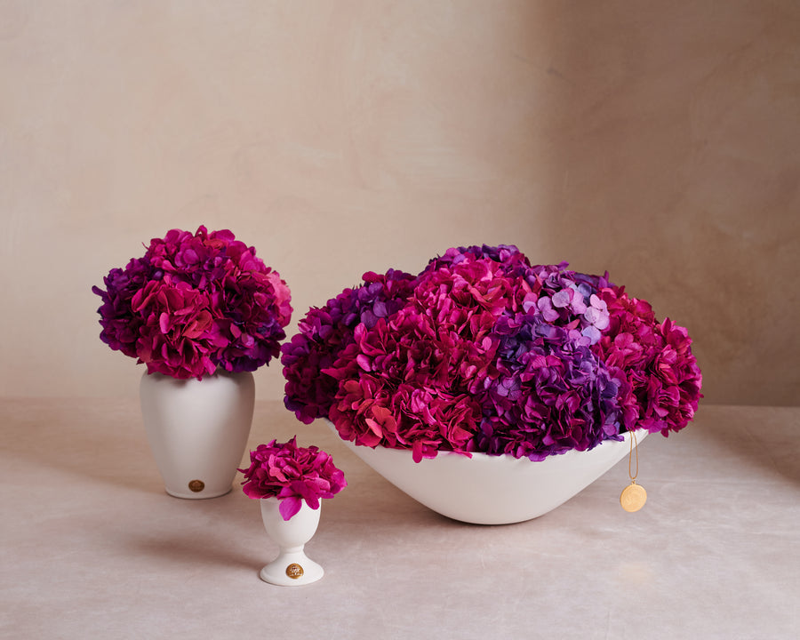 Petite Hydrangea