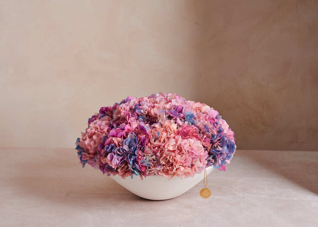 Grandiose Hydrangea