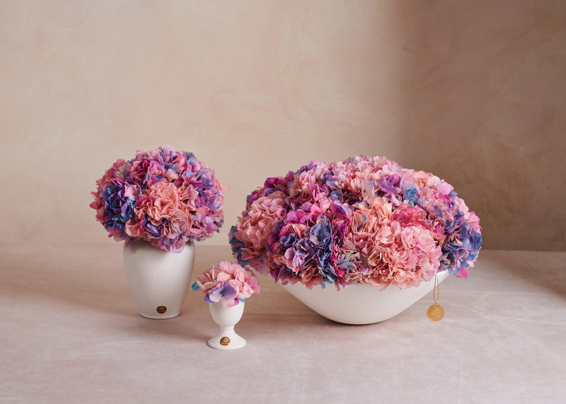 Creme Hydrangea Mini