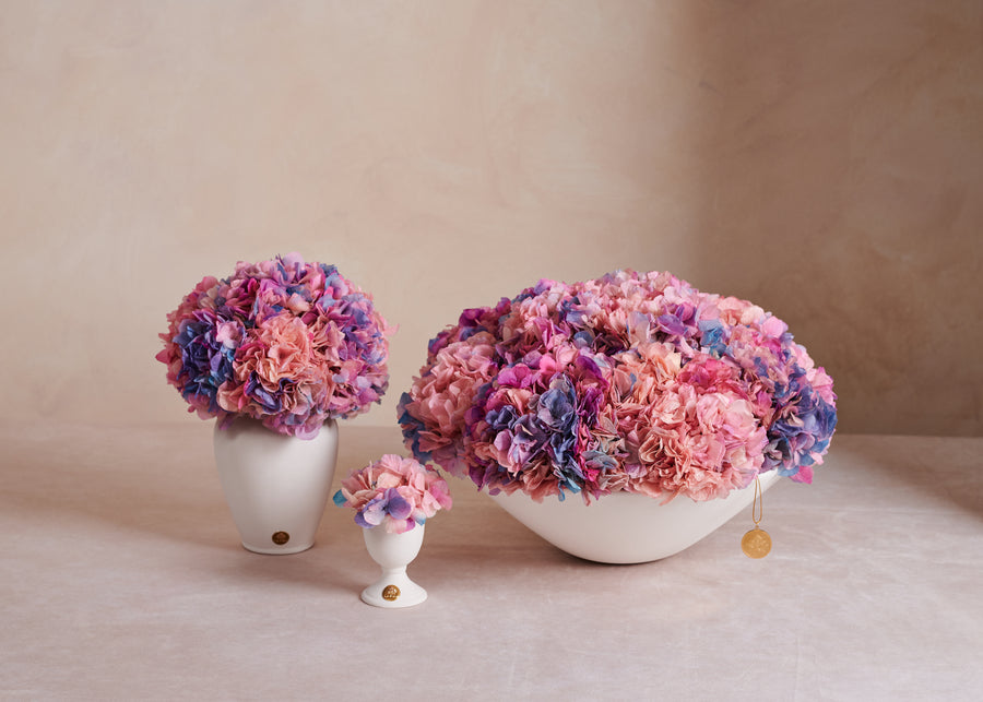 Creme Hydrangea Mini
