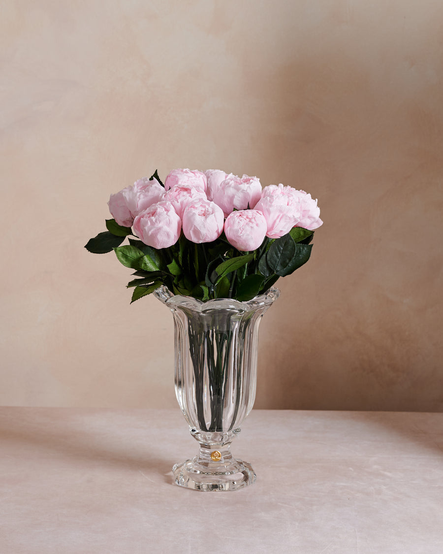 Amour Dozen - Peony