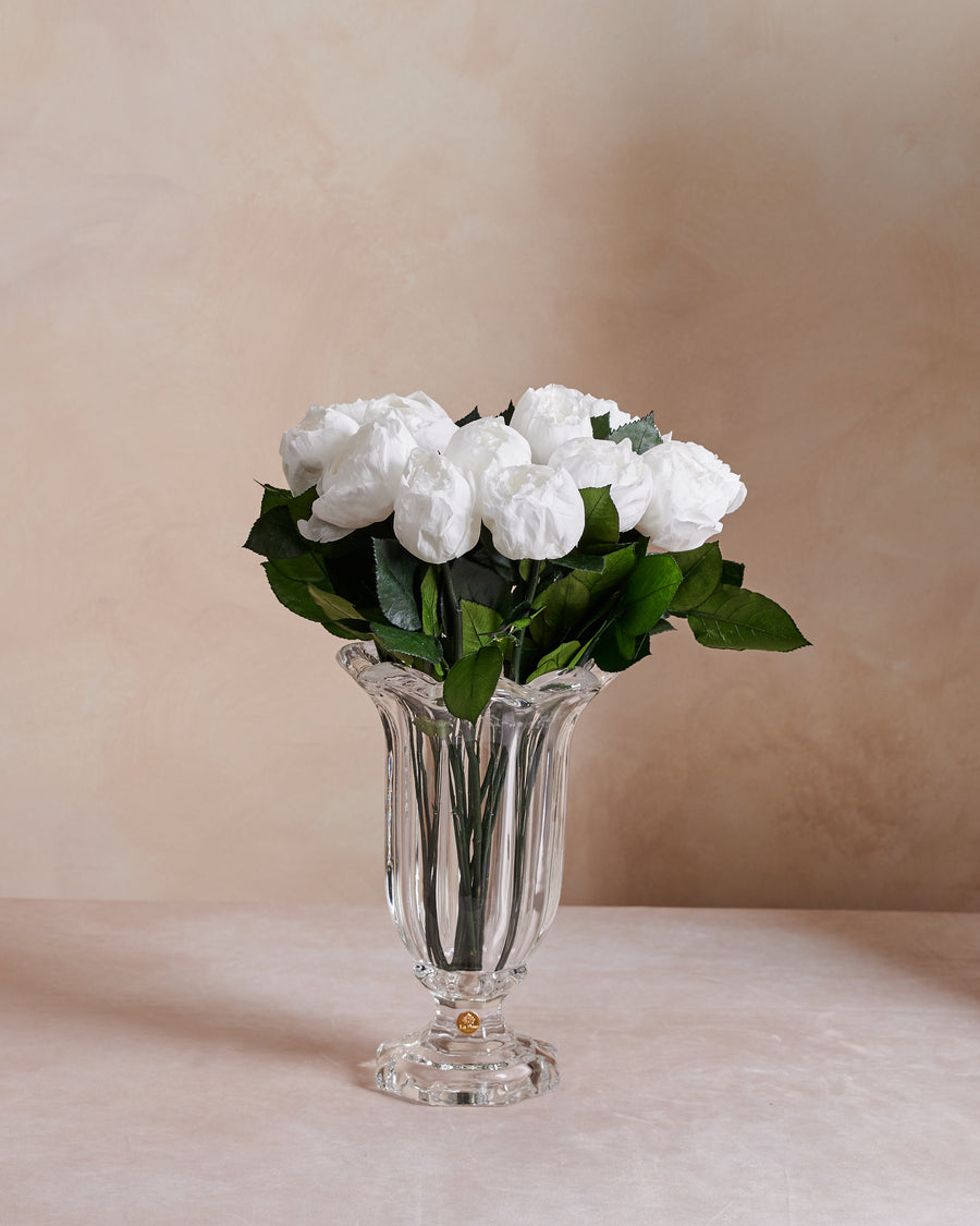 Amour Dozen - Peony