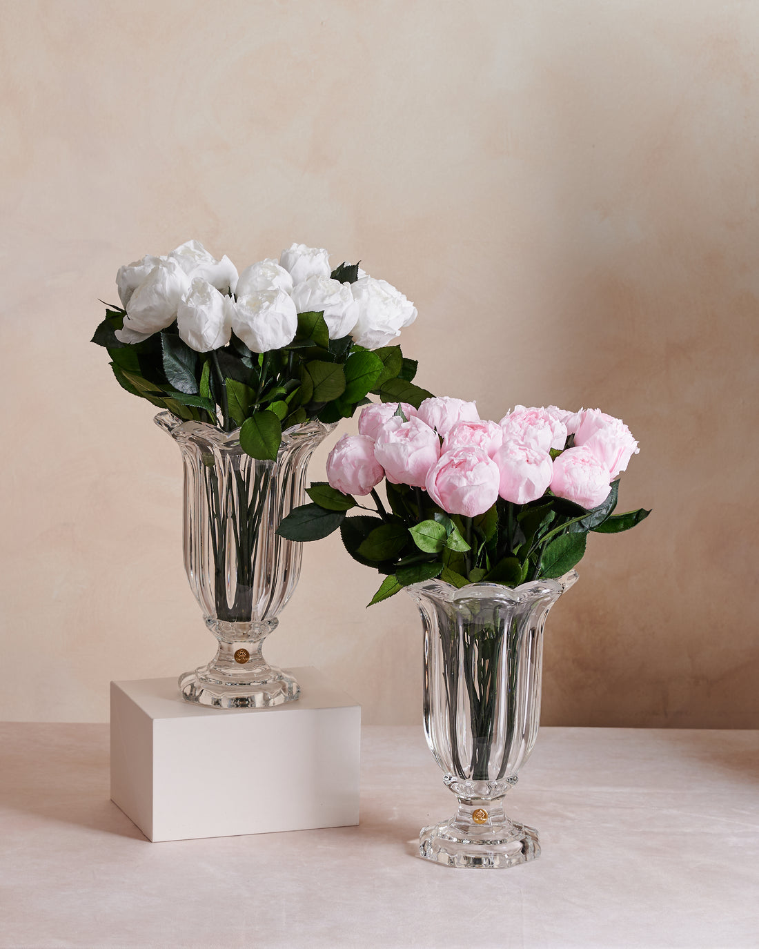 Amour Dozen - Peony