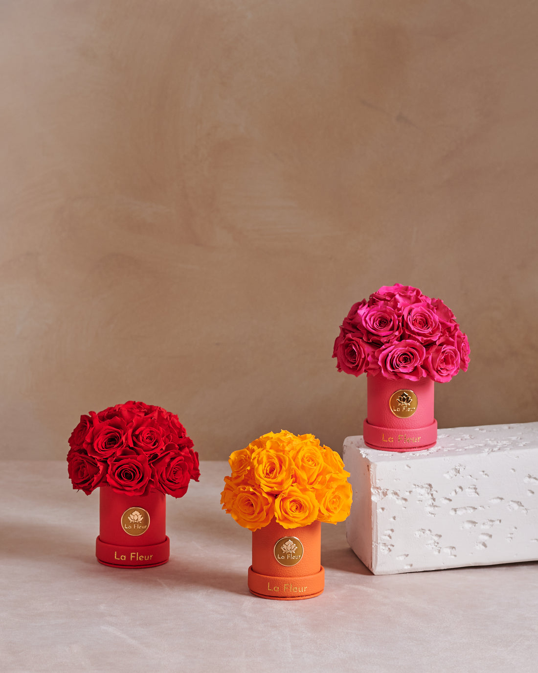 Mini Dôme - Roses