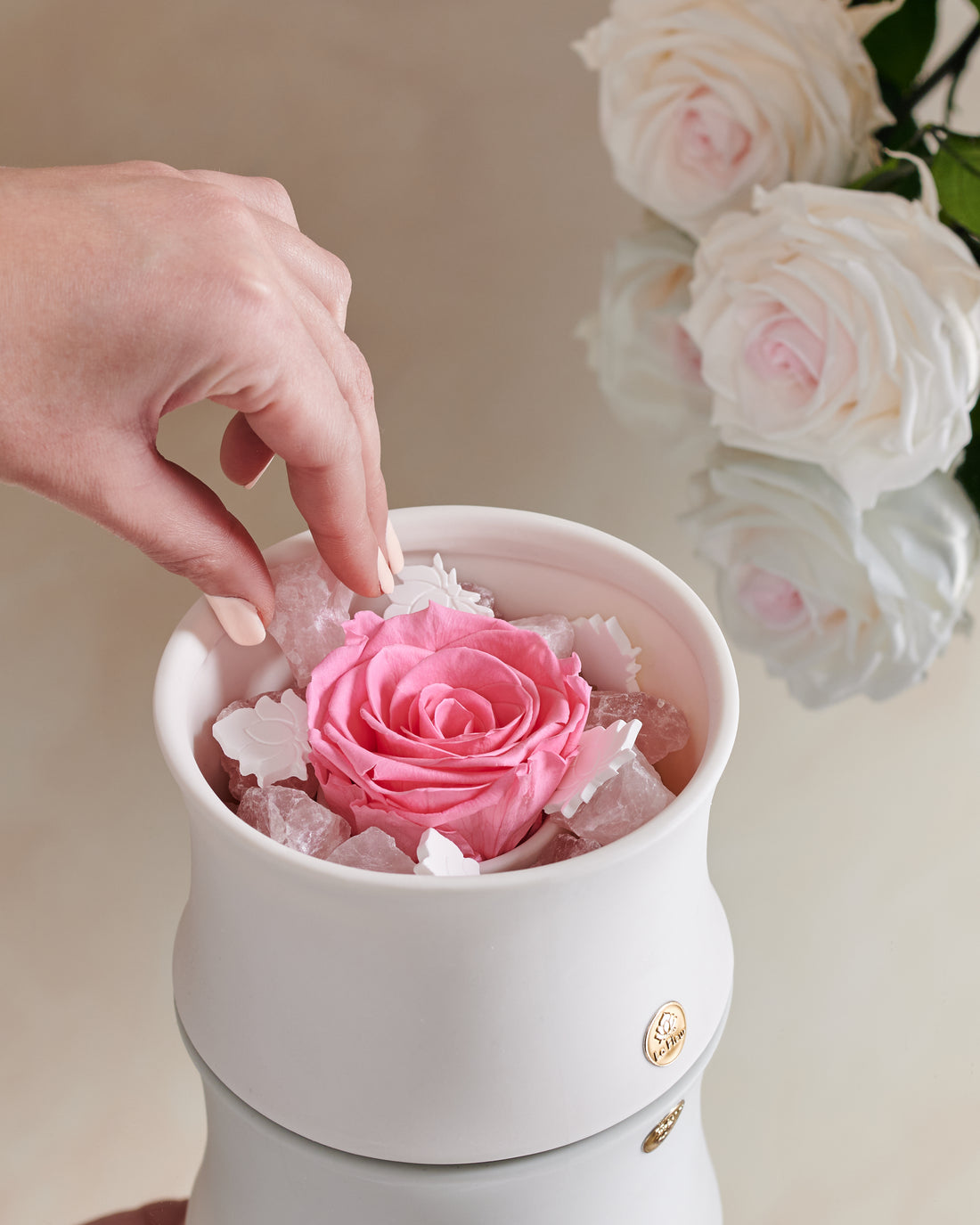 Rose Quartz Crystal Diffuser