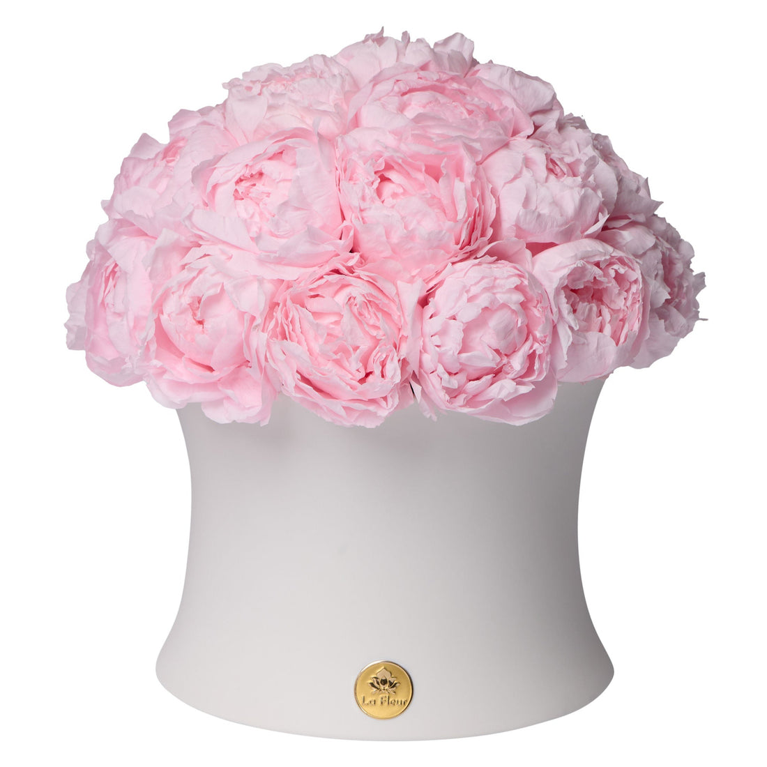 Grande Creme Peony