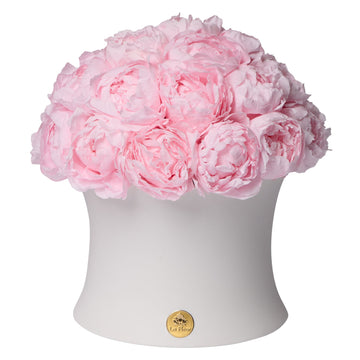 Grande Creme Peony