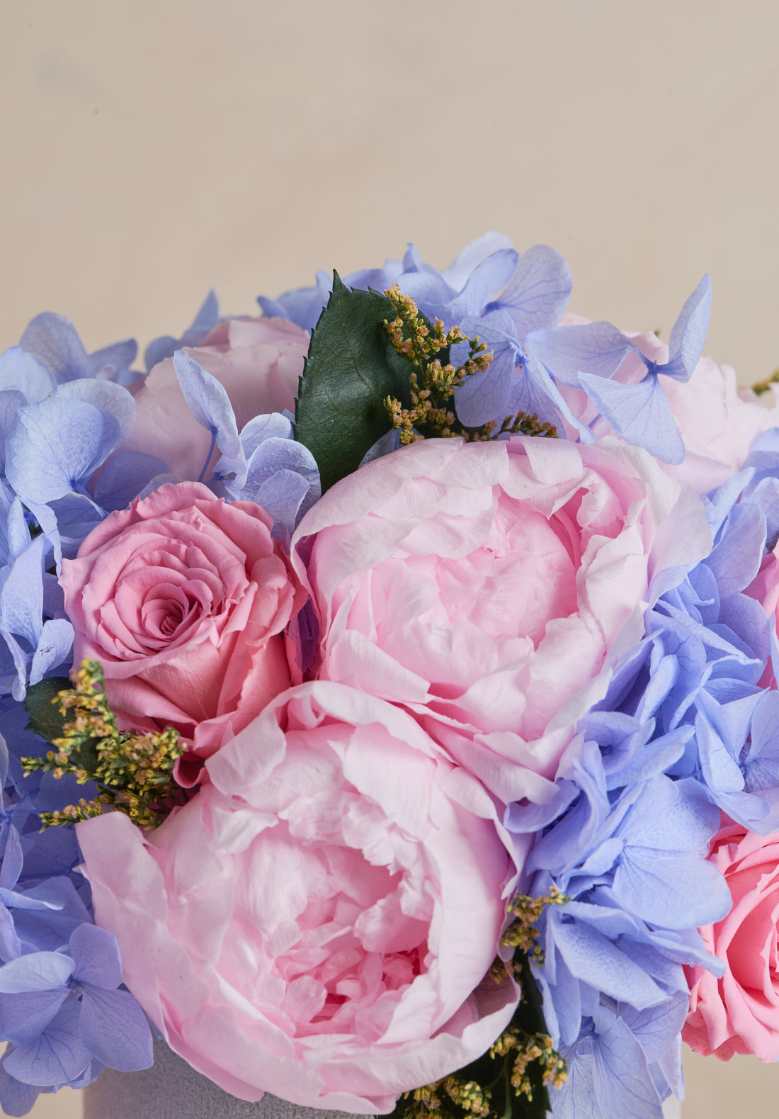 Fleurever Petite Dôme