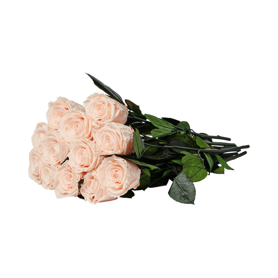 Dozen Long Stems Roses by La Fleur Lifetime Flowers