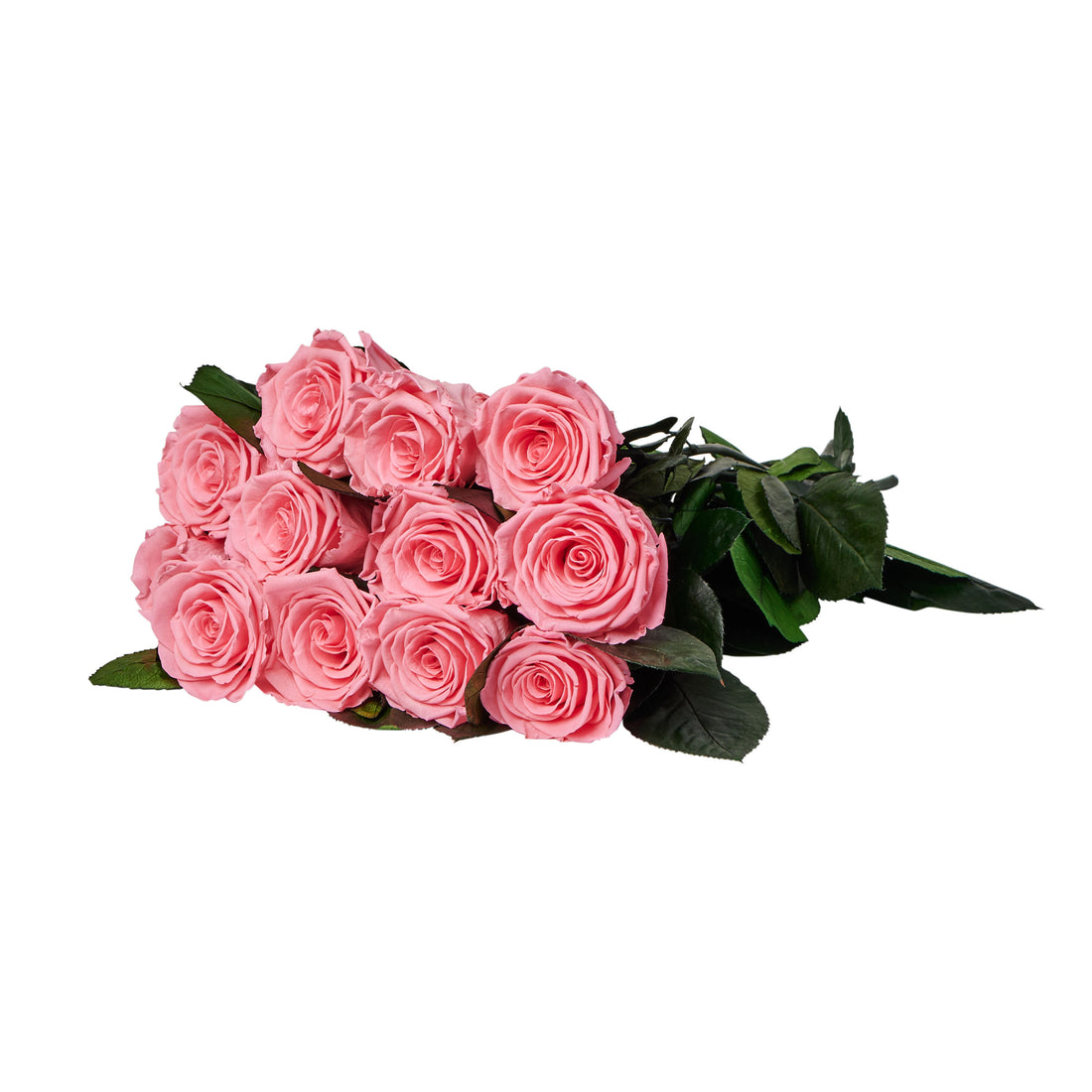 Dozen Long Stems Roses by La Fleur Lifetime Flowers