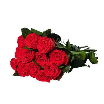 Dozen Long Stems Roses by La Fleur Lifetime Flowers