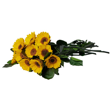 Dozen Long Stems Sunflowers by La Fleur Lifetime Flowers