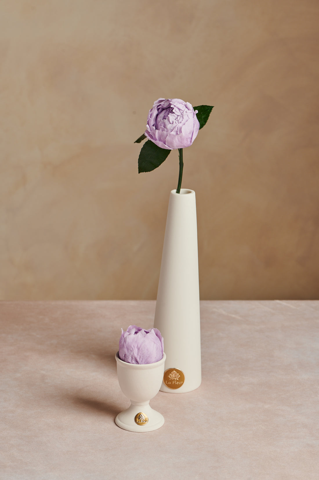 Creme Peony Mini by La Fleur Lifetime Flowers