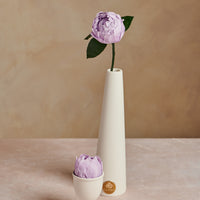 Creme Peony Mini by La Fleur Lifetime Flowers