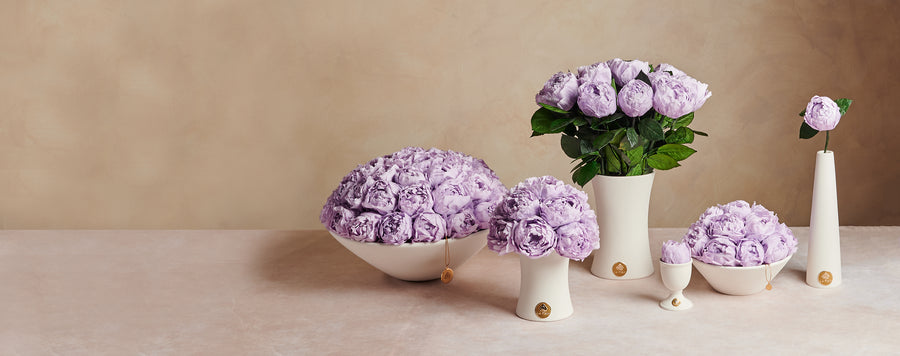 Creme Peony Dôme by La Fleur Lifetime Flowers