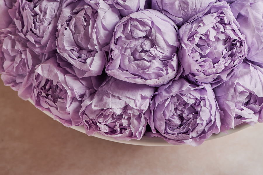 Grandiose Peony by La Fleur Lifetime Flowers