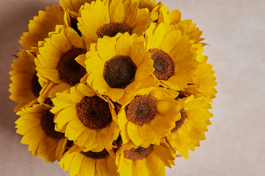 Sunflower Bowl by La Fleur Lifetime Flowers