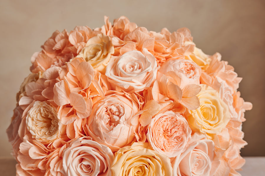 Jardin Dome - Peach by La Fleur Lifetime Flowers