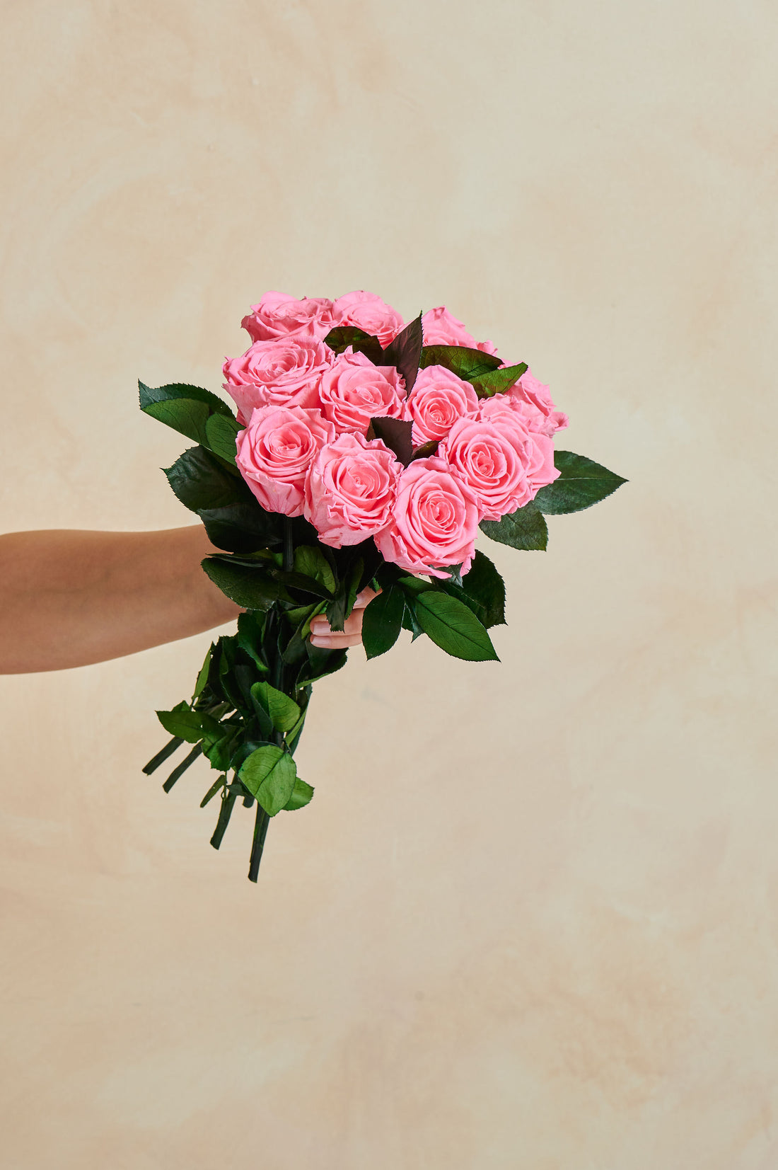 Dozen Long Stems Roses by La Fleur Lifetime Flowers