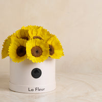 Sunflower Dome