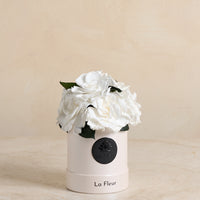 Gardenia Petite Dome