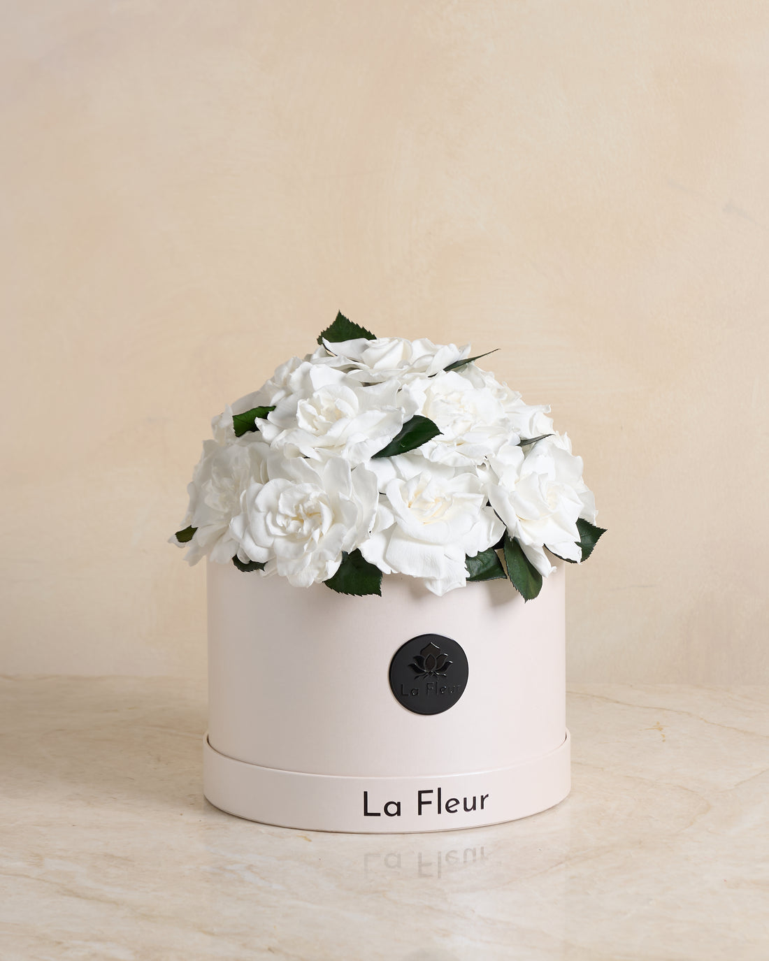 Gardenia Dôme