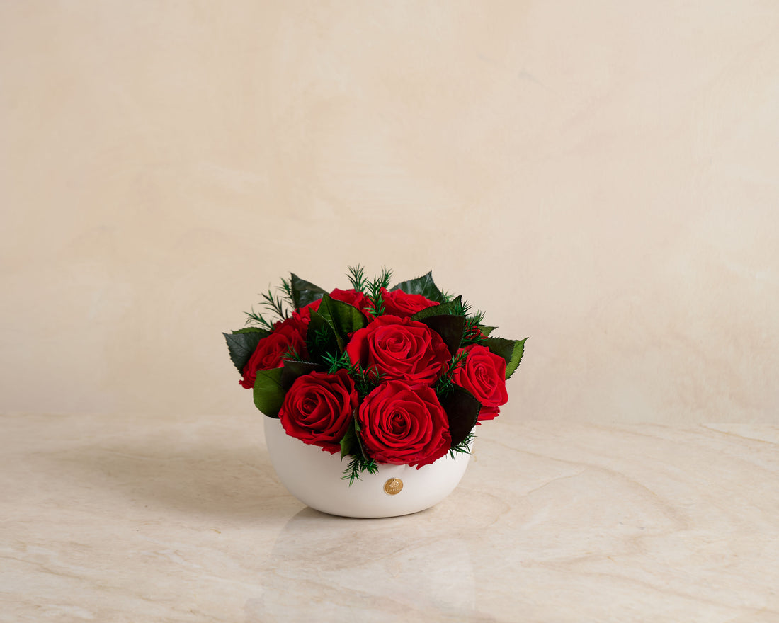 Jolie Grande - Rose