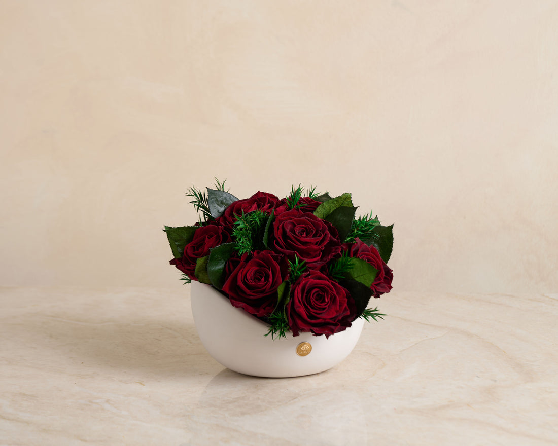 Jolie Grande - Rose