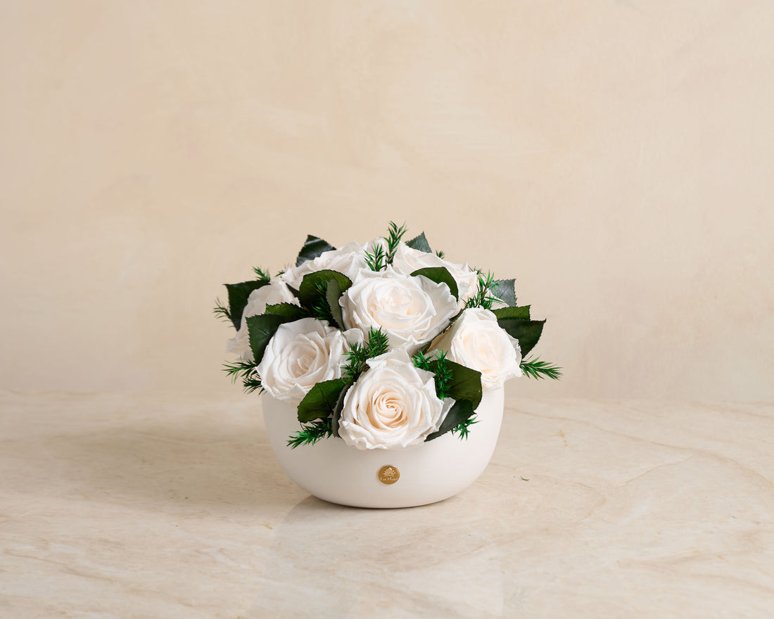 Jolie Grande - Rose