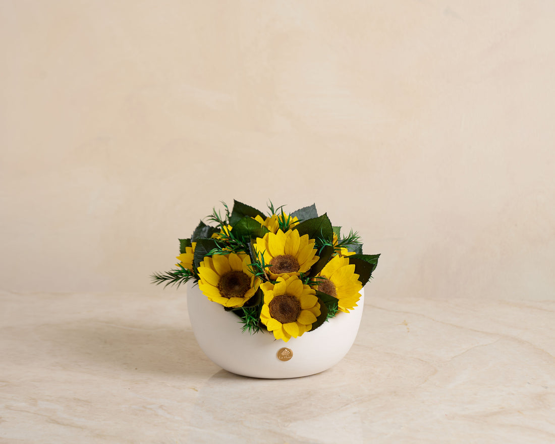 Jolie Grande - Sunflower
