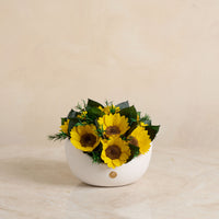 Jolie Grande - Sunflower