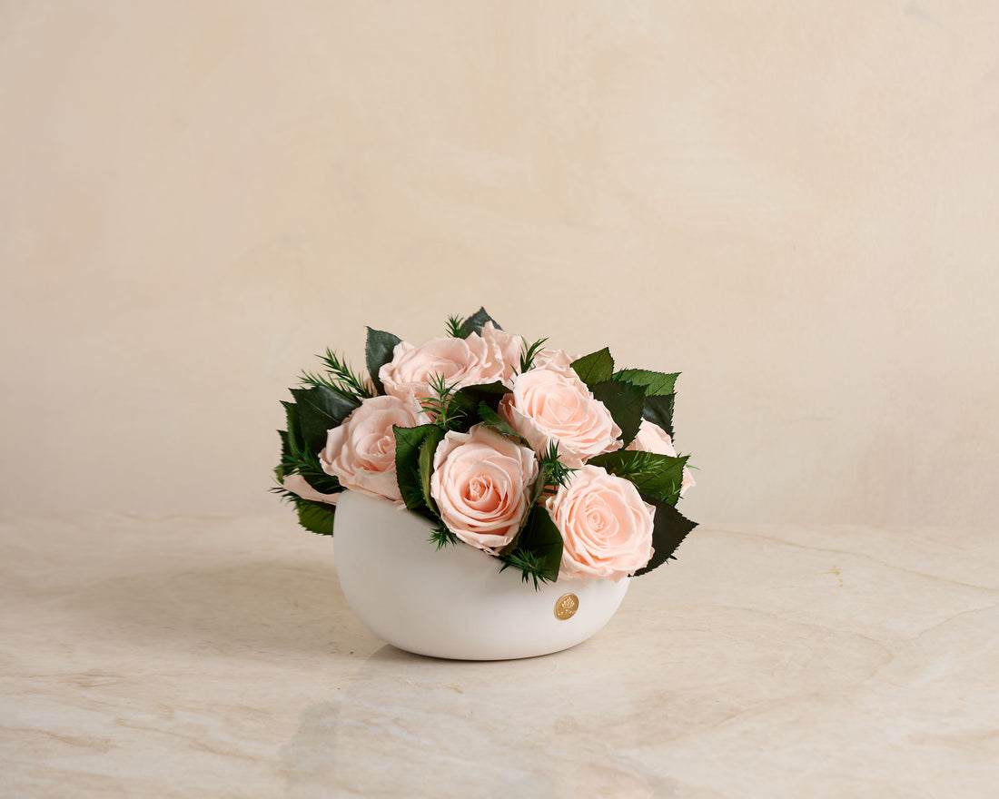 Jolie Grande - Rose