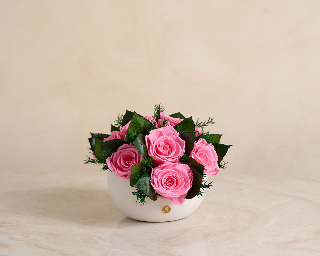 Jolie Grande - Rose