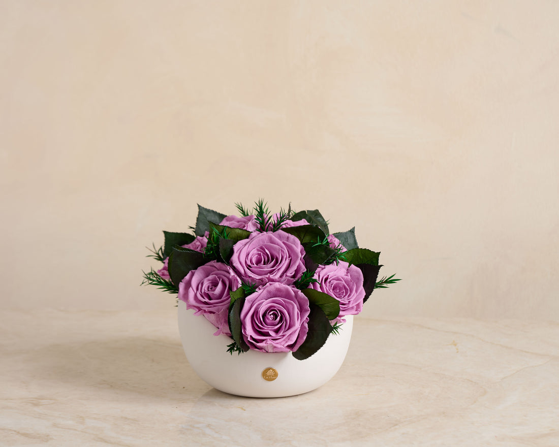 Jolie Grande - Rose