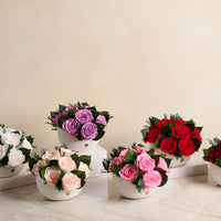Jolie Grande - Rose