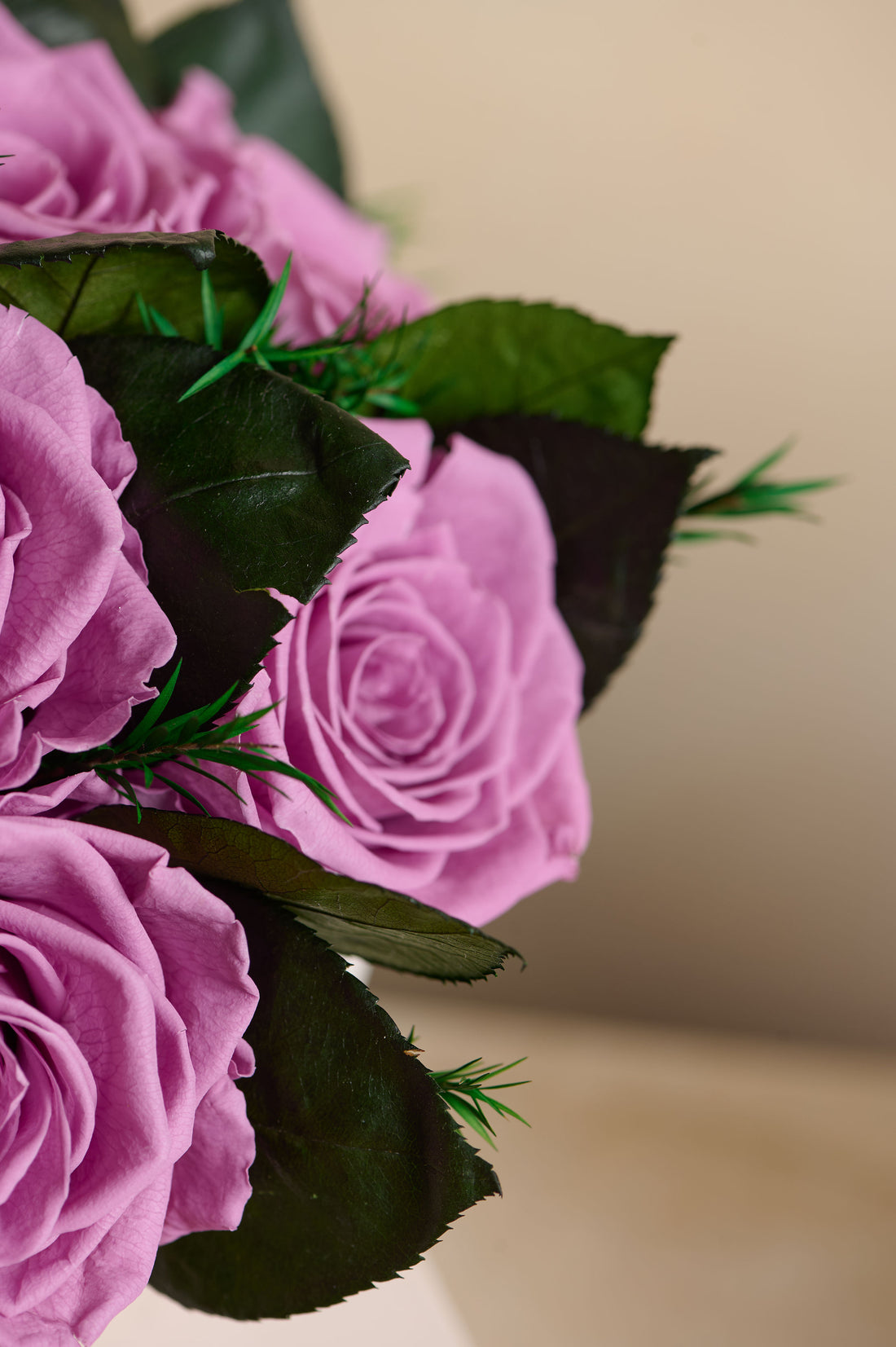 Jolie Grande - Rose