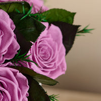 Jolie Grande - Rose