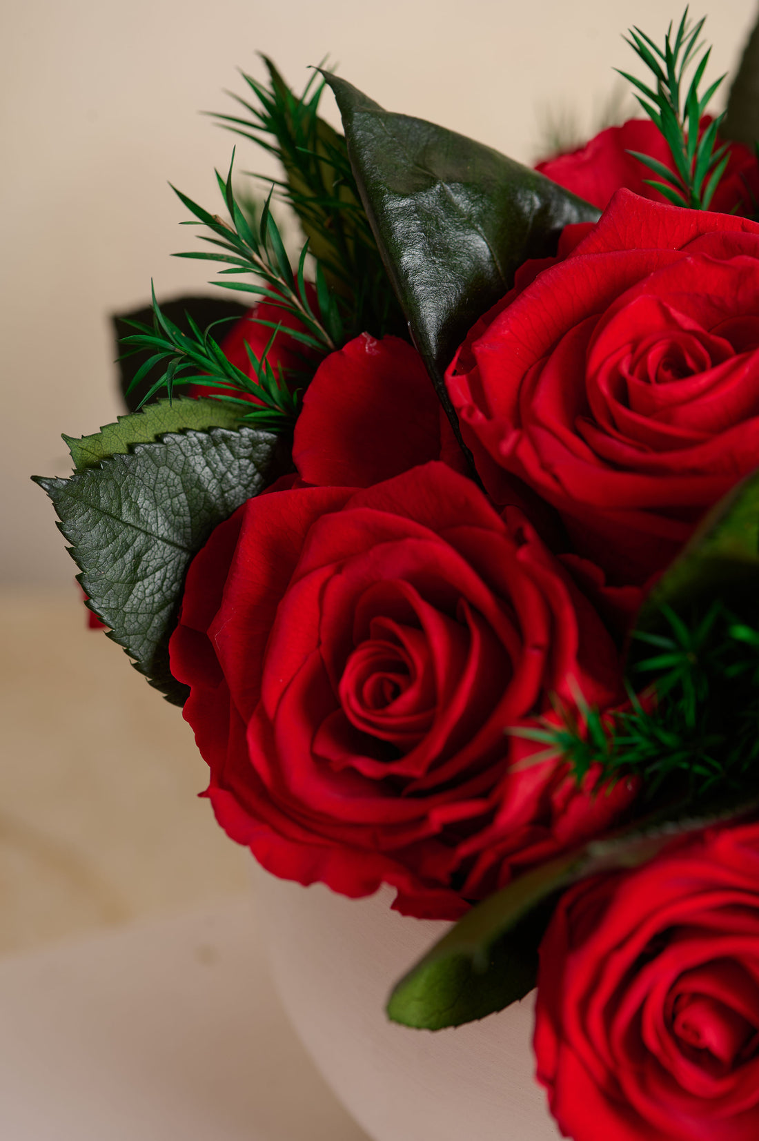Jolie Grande - Rose